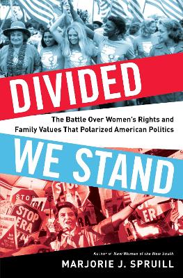 Book cover for Divided We Stand