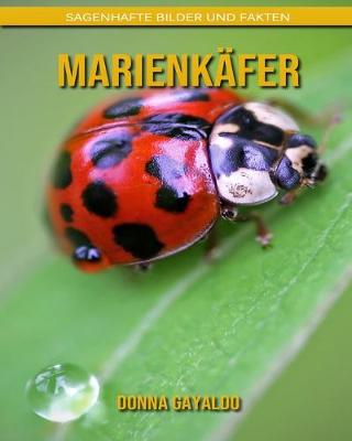 Book cover for Marienkäfer