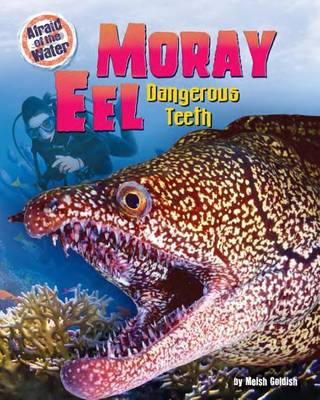 Book cover for Moray Eel