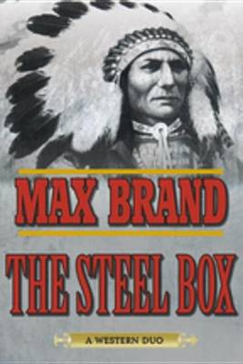 Book cover for The Steel Box