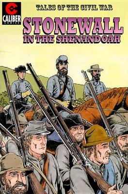 Book cover for Stonewall in the Shenandoah