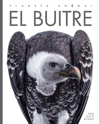 Book cover for El Buitre