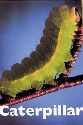 Cover of Caterpillars