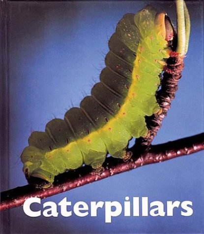 Book cover for Caterpillars
