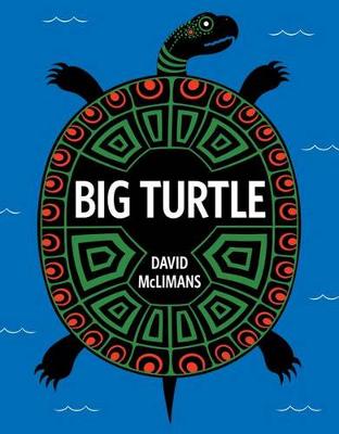 Book cover for Big Turtle