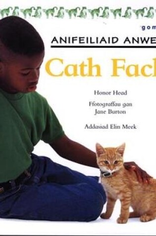 Cover of Cyfres Anifeiliaid Anwes: Cath Fach