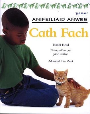 Book cover for Cyfres Anifeiliaid Anwes: Cath Fach