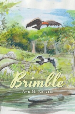 Cover of Brimble