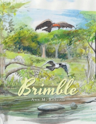 Book cover for Brimble