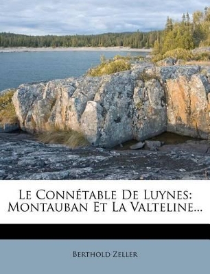 Book cover for Le Connetable de Luynes