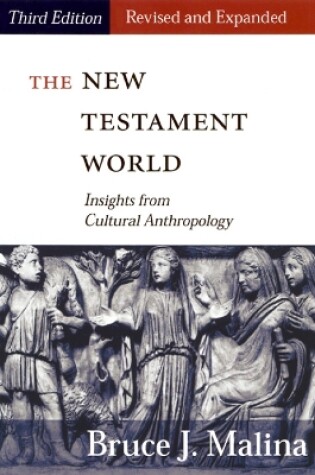 Cover of The New Testament World, Third Edition, Revised and Expanded