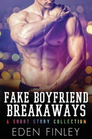 Cover of Fake Boyfriend Breakaways