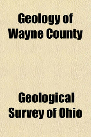 Cover of Geology of Wayne County Volume 24