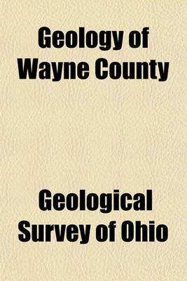 Book cover for Geology of Wayne County Volume 24