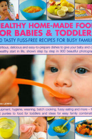 Cover of Healthy Home Made Food for Babies and Toddlers