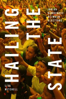 Book cover for Hailing the State