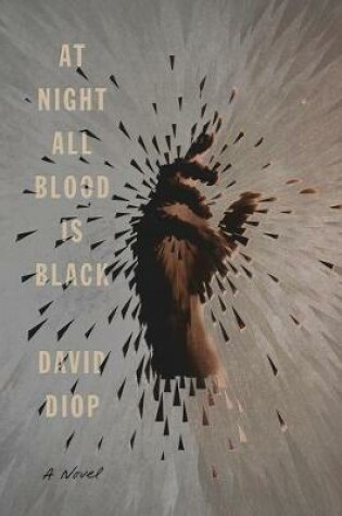 Cover of At Night All Blood Is Black