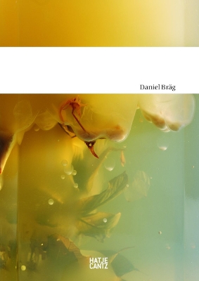 Book cover for Daniel Bräg