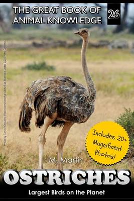 Book cover for Ostriches