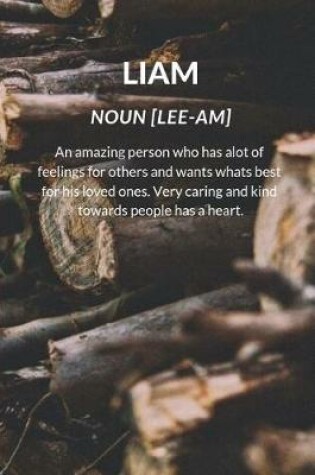Cover of Liam Noun [lee-Am]