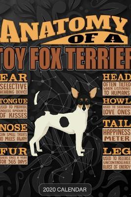 Book cover for Anatomy Of A Toy Fox Terrier