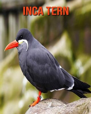 Book cover for Inca Tern