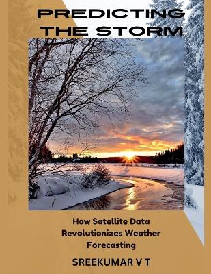 Book cover for Predicting the Storm