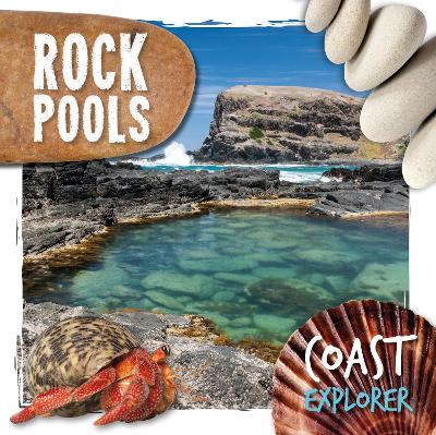 Cover of Rock Pools