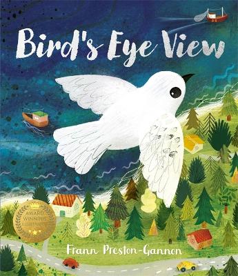 Book cover for Bird's Eye View