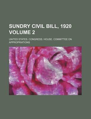 Book cover for Sundry Civil Bill, 1920 Volume 2