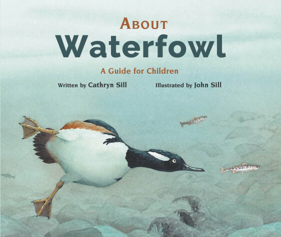 Book cover for About Waterfowl