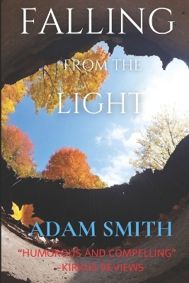 Book cover for Falling From The Light