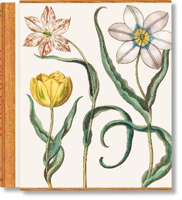 Book cover for Basilius Besler. The Garden at Eichstätt