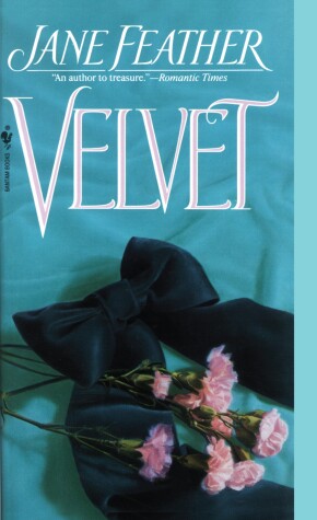 Book cover for Velvet