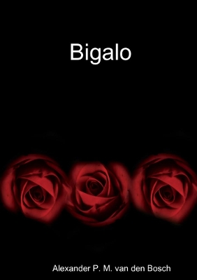 Book cover for Bigalo