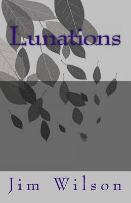 Book cover for Lunations