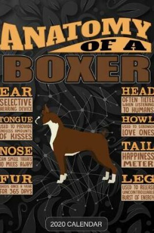 Cover of Anatomy Of A Boxer