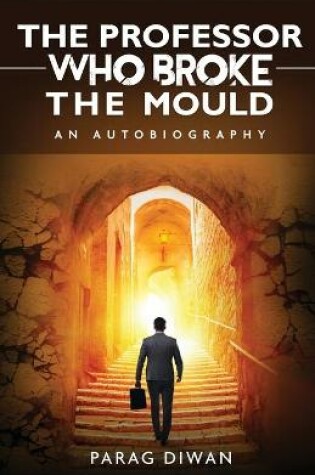 Cover of The Professor Who Broke the Mould