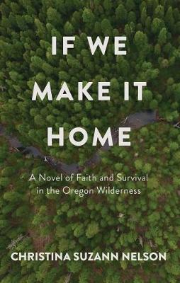 If We Make It Home by Christina Suzann Nelson