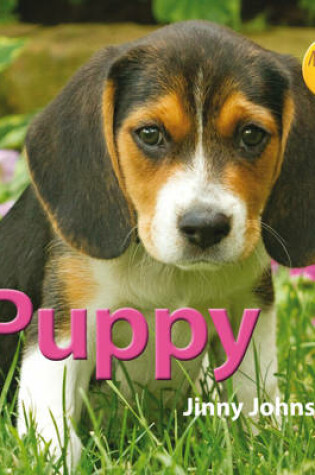 Cover of My New Pet: Puppy