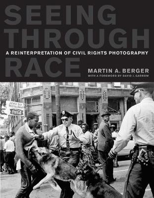 Book cover for Seeing through Race