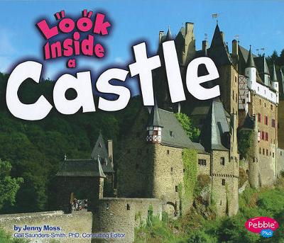 Book cover for Look Inside a Castle