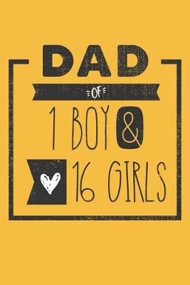 Book cover for DAD of 1 BOY & 16 GIRLS