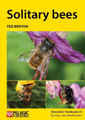 Book cover for Solitary bees