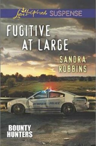 Cover of Fugitive at Large