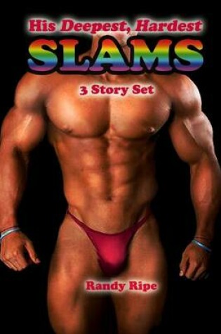 Cover of His Deepest Hardest Slams 3 Story Set (gay, hard, deep, POV, first time, taboo)