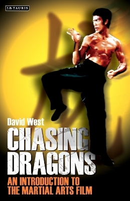 Book cover for Chasing Dragons