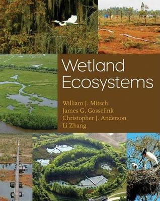 Book cover for Wetland Ecosystems