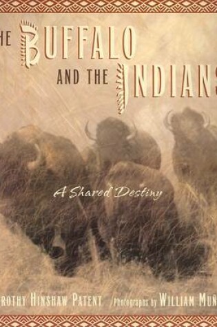 Cover of The Buffalo and the Indians