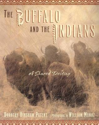 Book cover for The Buffalo and the Indians